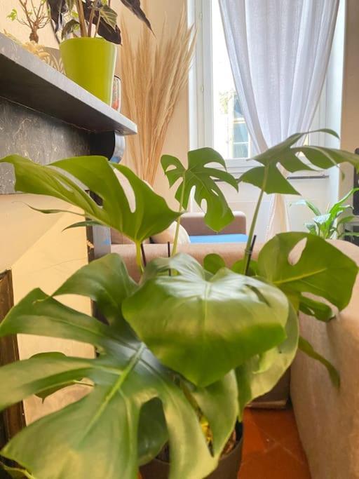 Apartament Le Jardin Secret De Nady Carcassonne Zewnętrze zdjęcie