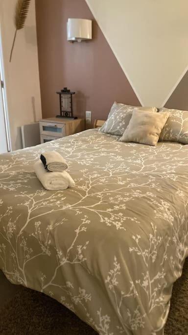 Apartament Le Jardin Secret De Nady Carcassonne Zewnętrze zdjęcie