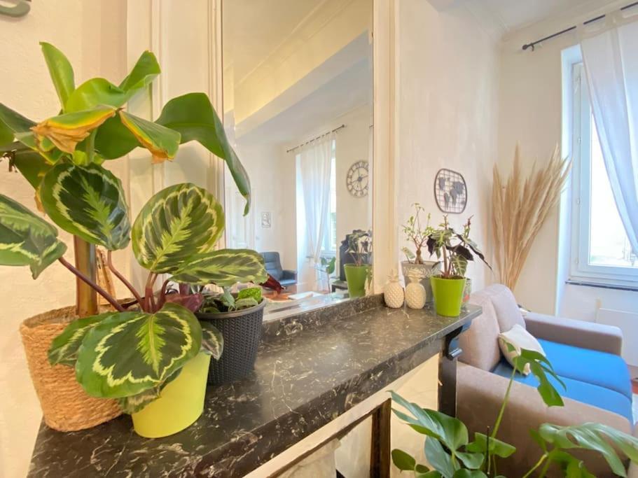 Apartament Le Jardin Secret De Nady Carcassonne Zewnętrze zdjęcie